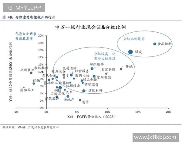 重庆排球队的运营模式与发展策略深度解析 重庆排球队的运营模式与发展策略深度解析