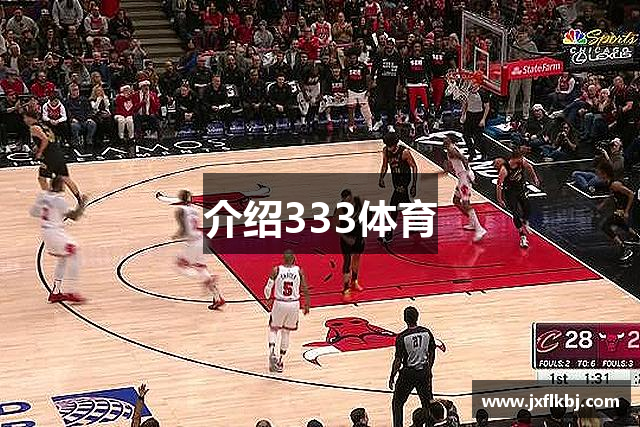 介绍333体育